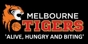 Tigers_Logo_2012